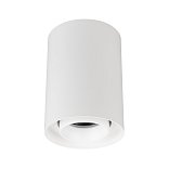 Светильник SP-FOCUS-R86-10W Day4000 (WH, 15 deg, 230V) (Arlight, IP54 Металл, 5 лет)