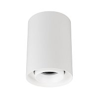 Светильник SP-FOCUS-R86-10W Day4000 (WH, 36 deg, 230V) (Arlight, IP54 Металл, 5 лет)