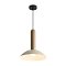 Подвесной светильник Freya FR5551PL-01CR