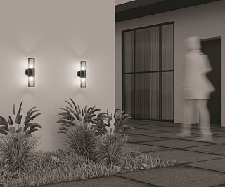 Настенный светильник (бра) Amas E27x2 60Вт IP 54