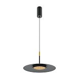 Подвесной светильник El 3000К 12Вт