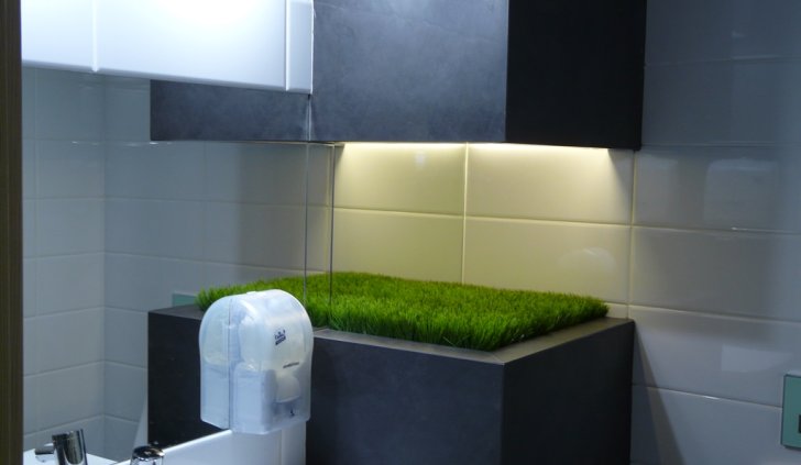 Растения, освещаемые светодиодной лентой Arlight