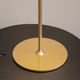 Аккумуляторный светильник AI Collaboration 2200-4000К 3Вт