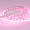 Светодиодная лента RT 2-5000 24V Pink 2x (5060, 300 LED, LUX) (Arlight, 14.4 Вт/м, IP20)