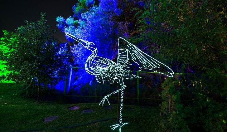 Многоцветные RGB светодиодные прожекторы