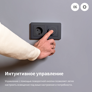 Настенный диммер H2 EU (серый) | Dimmer Switch H2 (grey)