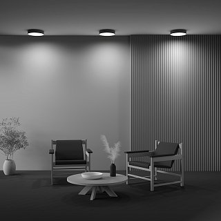 Потолочный светильник Zon 4000K 36W 120°