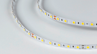 Светодиодная лента LUX, 5050, 60 LED/м, 14,4 Вт/м, 24В, IP33, Холодный белый (6000K), DSG560-24-W-33