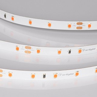 Светодиодная лента RT-A60-8mm 24V Ruby (4.8 W/m, IP20, 5m) (Arlight, -)