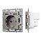 Механизм розетки с USB зарядкой SCT-MUAA-PL-GR (250V, 16A) (Arlight, -)