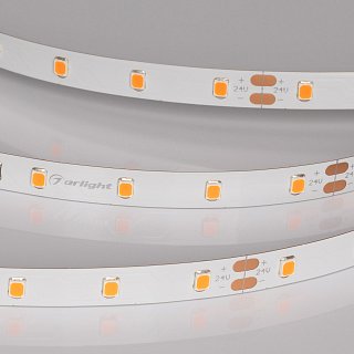 Светодиодная лента RT-A60-8mm 24V Carrot (4.8 W/m, IP20, 5m) (Arlight, -)