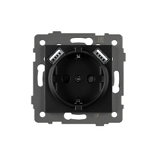 Механизм розетки с USB зарядкой SCT-MUAA-PL-BK-V (250V, 16A) (Arlight, -)