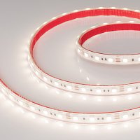 Светодиодная лента герметичная RTW-PS-B60-12mm 12V Day4000 (14.4 W/m, IP67, 5060, 5m) (Arlight, 14.4 Вт/м, IP67)