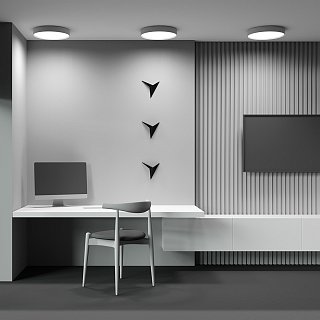 Потолочный светильник Zon 2700K 45Вт 120°