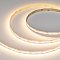 Светодиодная лента UL-A240-10mm 24V Warm3000 (19 W/m, IP20, 5m) (Arlight, 7 лет)