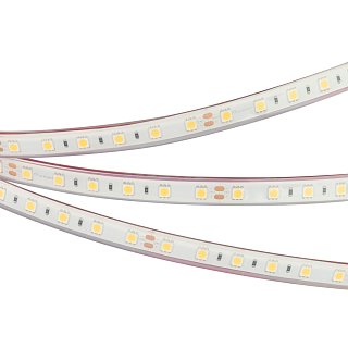 Светодиодная лента герметичная RTW-PFS-B60-13mm 24V Cool 10K (14.4 W/m, IP68, 5060, 5m) (Arlight, 14.4 Вт/м, IP68)
