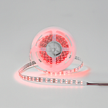 Светодиодная лента IP33 RGB (RGBK) свечение, DSG5120-24-RGB-33