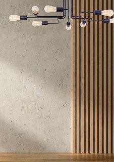 Потолочный светильник Gilbert E27х8