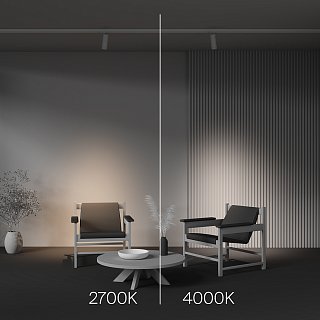 Трековый светильник Focus Zoom Trinity 2700K 20Вт 15-60°