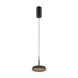 Подвесной светильник Maytoni MOD041PL-L15GB3K