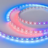 Светодиодная лента SPI-B60-10mm 12V RGB-PX1-RAM (9.3 W/m, IP20, 5060, 5m) (Arlight, бегущий огонь)
