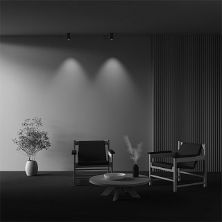 Потолочный светильник FOCUS LED 4000K 12W 50°