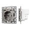 Механизм розетки с USB зарядкой SCT-MUAA-PL-GR (250V, 16A) (Arlight, -)