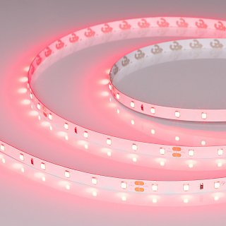 Светодиодная лента RT-A60-8mm 24V Ruby (4.8 W/m, IP20, 5m) (Arlight, -)