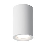 Потолочный светильник Technical C003CW-01W