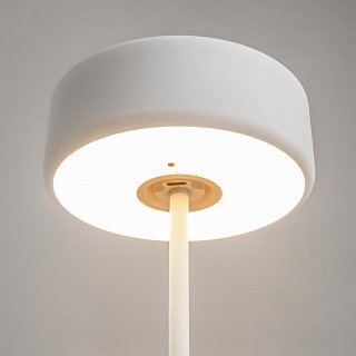 Аккумуляторный светильник AI Collaboration 2200-4000К 3Вт