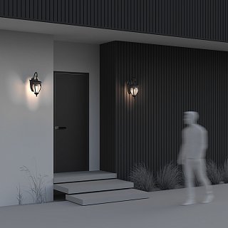 Настенный светильник (бра) Fleur E27х1 60Вт IP 44