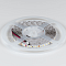 Светодиодная лента холодное белое свечение IP33, DSG3120-24-W-33