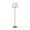 Напольный светильник (торшер) Freya FR1006FL-01G