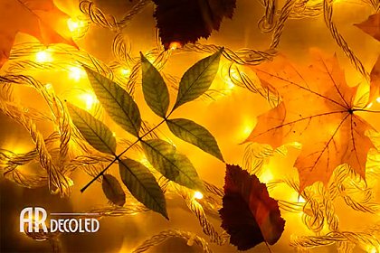 Обзор гирлянд Ardecoled