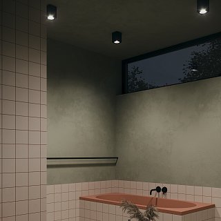 Потолочный светильник Zoom GU10 1x10Вт IP 54