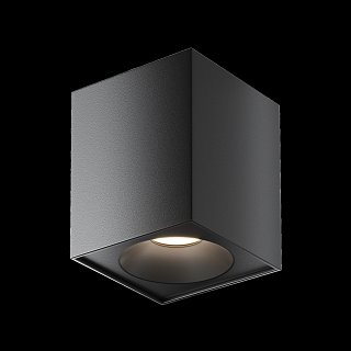 Потолочный светильник Zoom GU10 1x10Вт IP 54