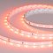 Светодиодная лента RT-A60-8mm 24V Carrot (4.8 W/m, IP20, 5m) (Arlight, -)