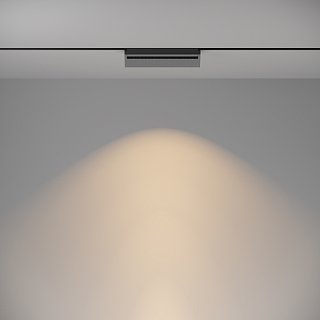 Трековый светильник Technical TR013-2-20W3K-B