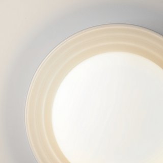 Настенный светильник (бра) Careless G9x1