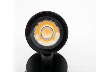 Светильник ландшафтный TN черный, 9 Вт, DL-FS0012-9-BL-WW