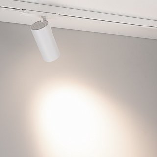 Светильник LGD-GERA-4TR-R74-20W Day4000 (WH, 36 deg, 230V) (Arlight, IP20 Металл, 5 лет)