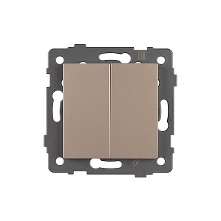 Механизм выключателя двухклавишный самовозвратный SWT-MKR2-PL-GD-V (250V, 10A) (Arlight, -)