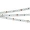 Светодиодная лента RS 2-5000 24V White6000 2x (3014, 120 LED/m, LUX) (Arlight, 9.6 Вт/м, IP20)