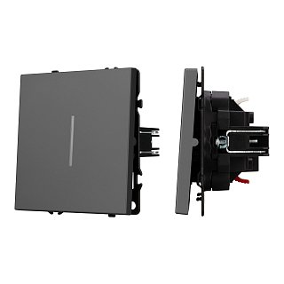 Механизм выключателя одноклавишный проходной LED SWT-NOBE-MKP1-SFPL-L-GR (230V, 10A) (Arlight, -)
