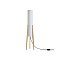 Напольный светильник (торшер) Freya FR5543FL-01T