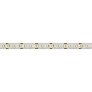 Светодиодная лента RT 6-3528-240 24V Warm2700 4х (1200 LED) (Arlight, 19.2 Вт/м, IP20)