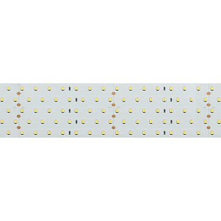 Светодиодная лента RT 2-2500 24V Day4000 5x2 (2835, 875 LED, LUX) (Arlight, 36 Вт/м, IP20)