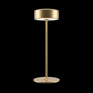 Аккумуляторный светильник AI Collaboration 2200-4000К 3Вт