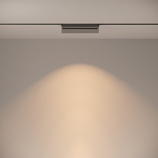 Трековый светильник Technical TR013-2-20W3K-B