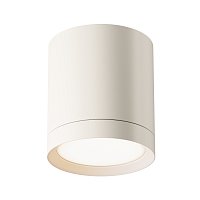 Потолочный светильник Hoop GX53 12Вт